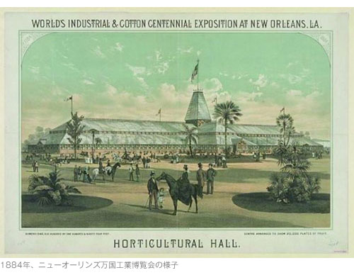 1884年、ニューオーリンズ万国工業博覧会の様子